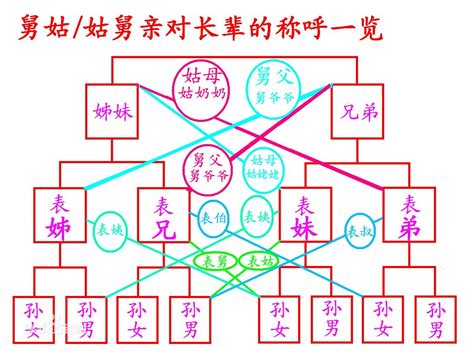 朋友關係表